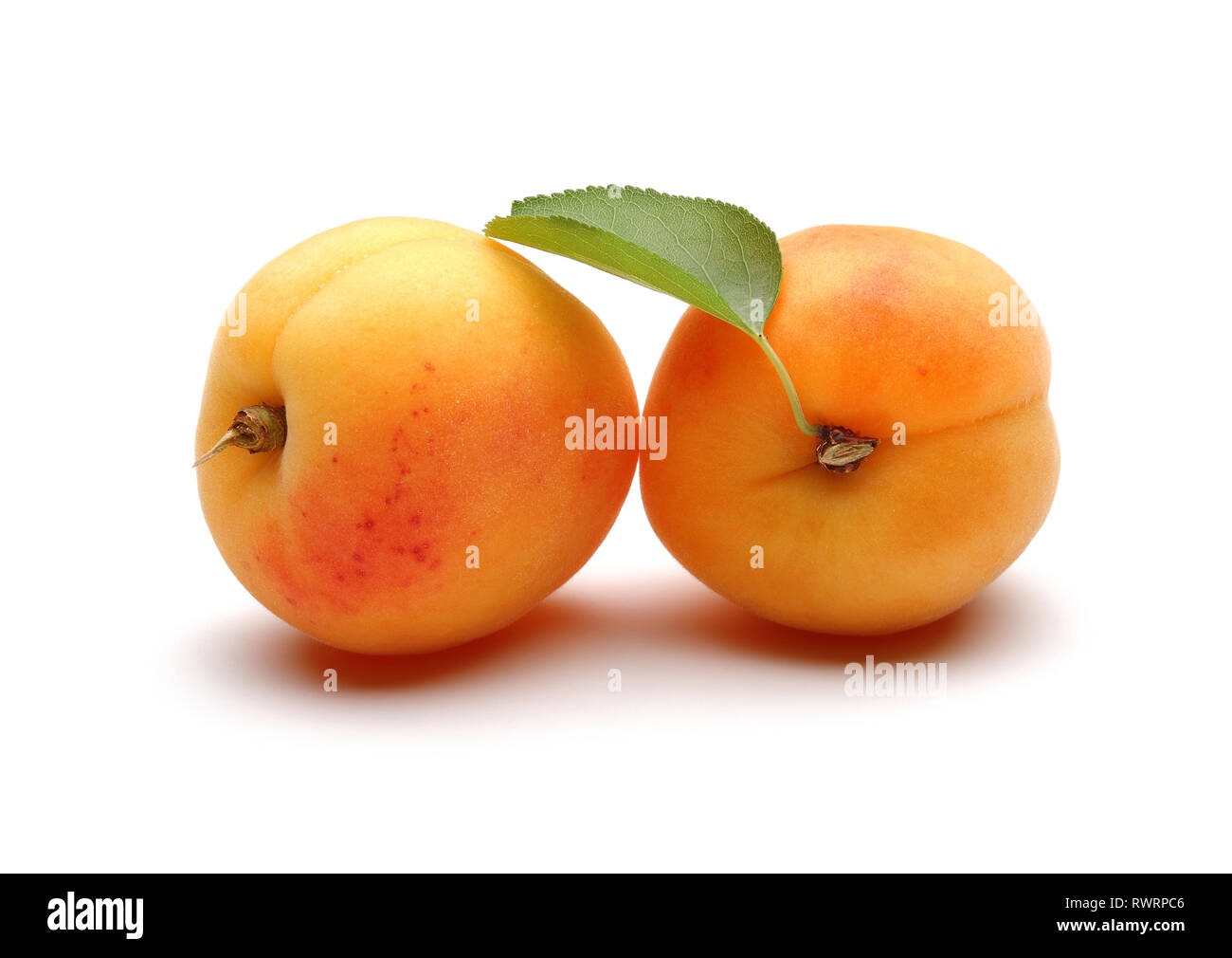 Fresh apricot fruits with leaf isolated on white background Stock Photo