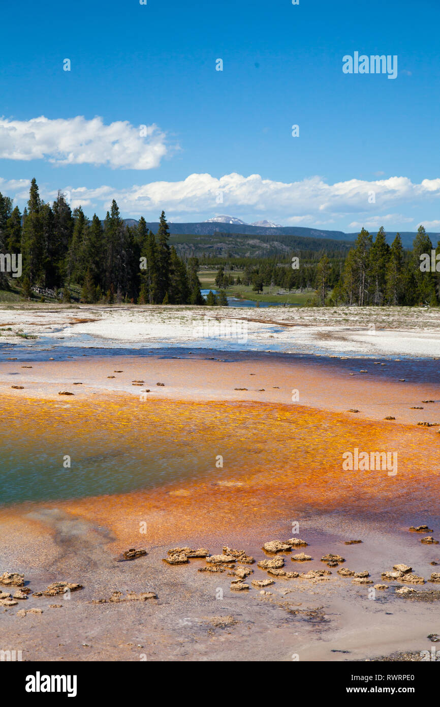 Colourful thermal spring located in the Grand Prismatic Spring area of Yellowstone National Park, Wyoming Stock Photo