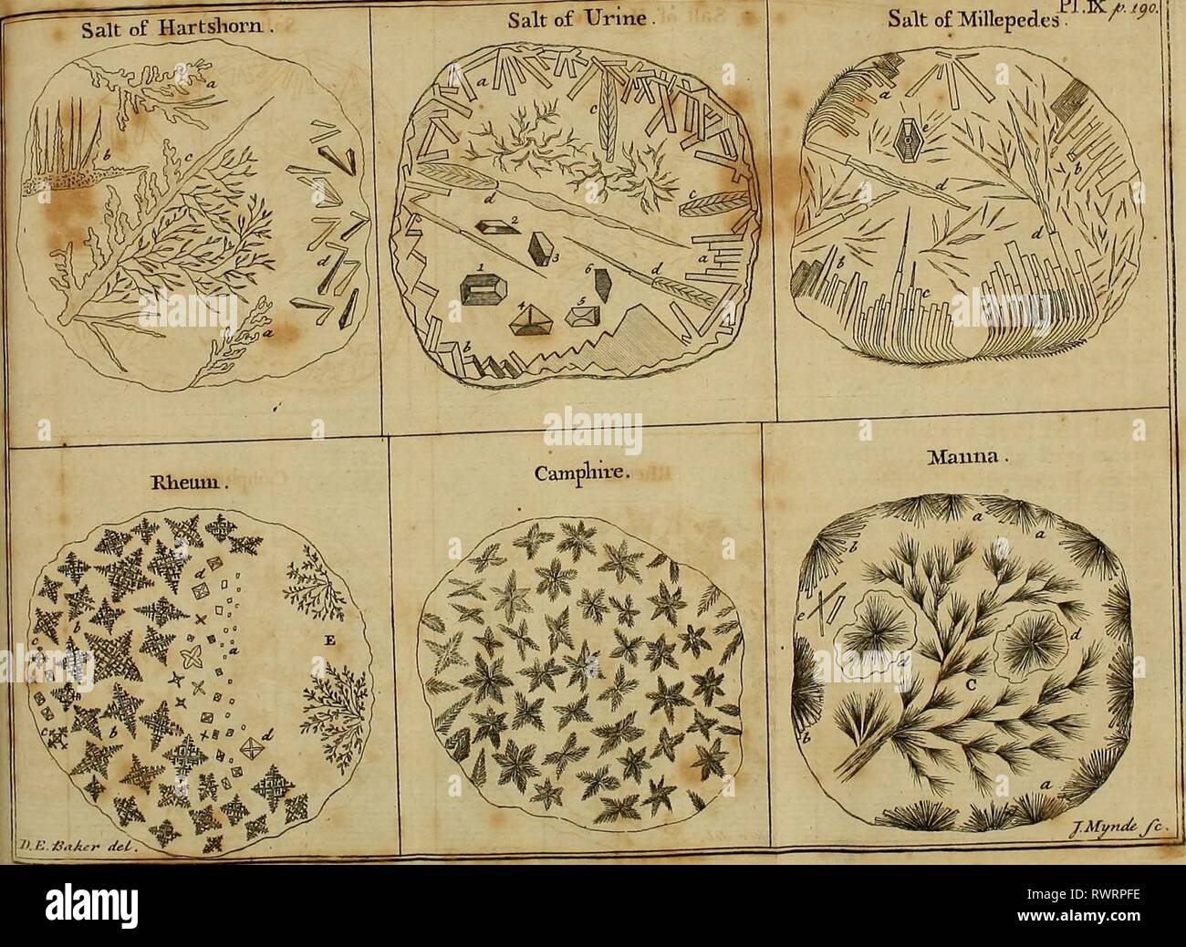 Employment for the microscope Employment for the microscope in two
