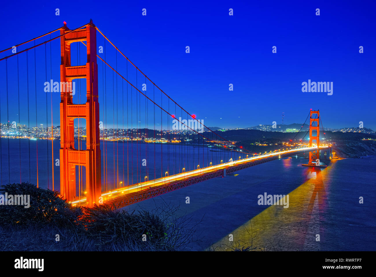 Sf City Id Card