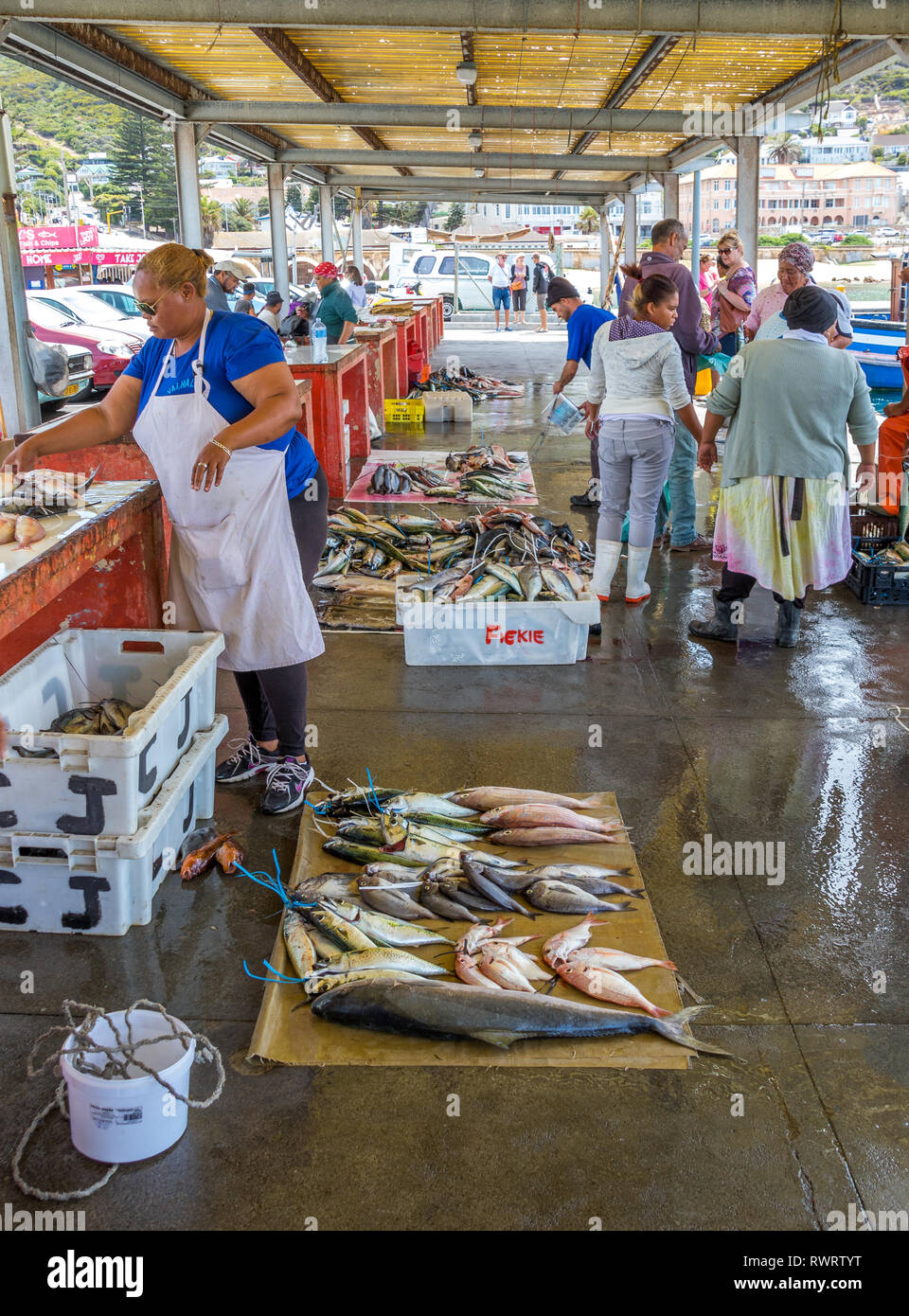 Cape Town, South Africa - unidentified fresh fish vendors selling the daily  catch at the fish market in the Kalk Bay Harbor Stock Photo - Alamy