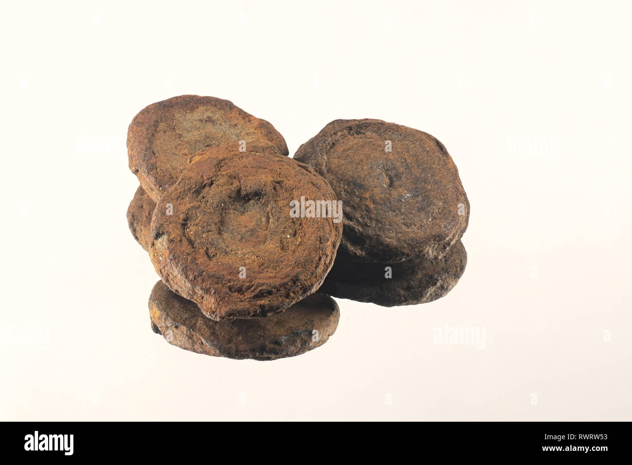 Bog iron is a form of impure iron deposit that develops in bogs or swamps.  The dominant source of iron ore in Scandinavia and Russia into the Middle  Stock Photo