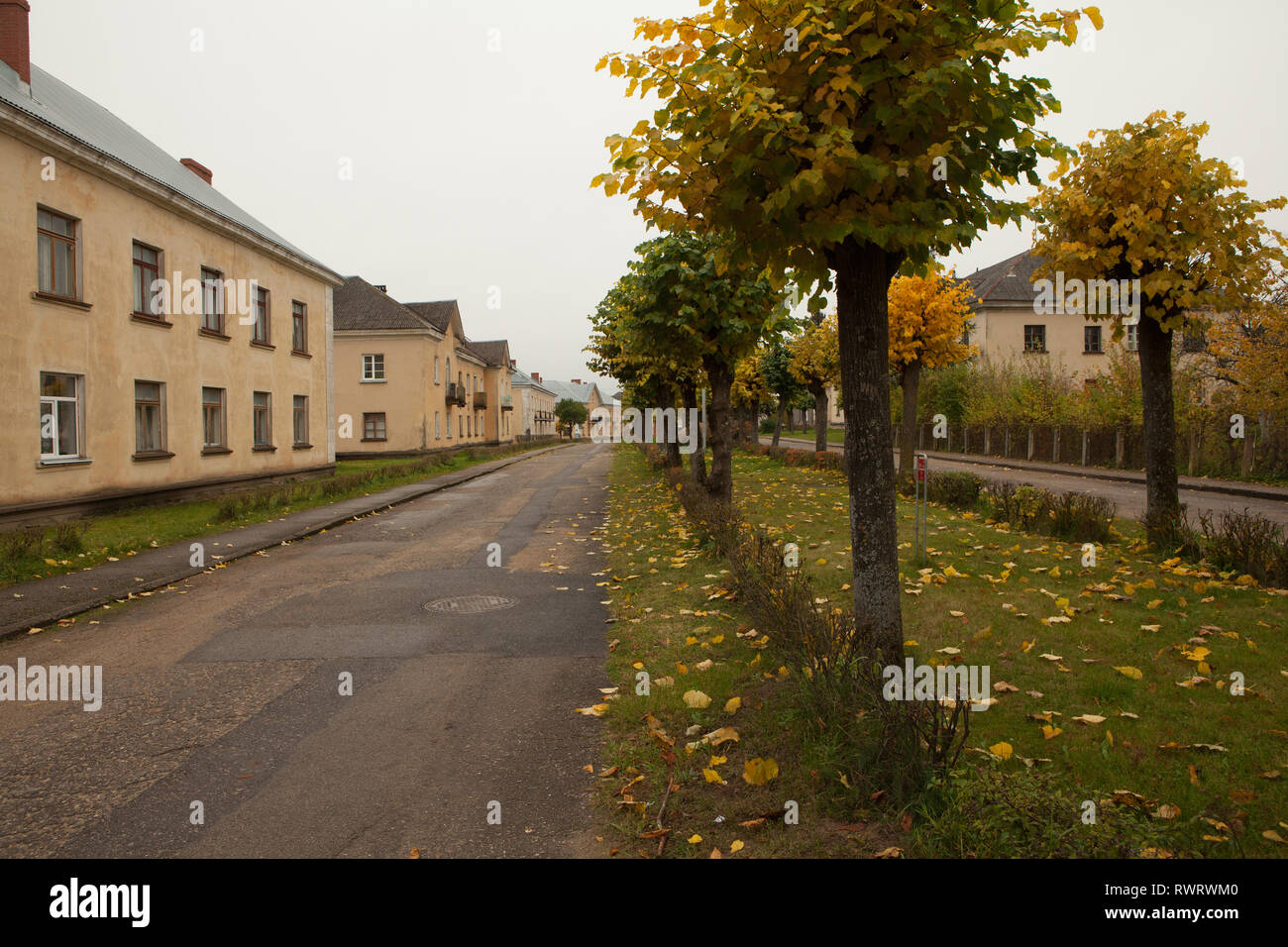 Empty suburban tree lined street with low rise housing, Latvia Stock Photo