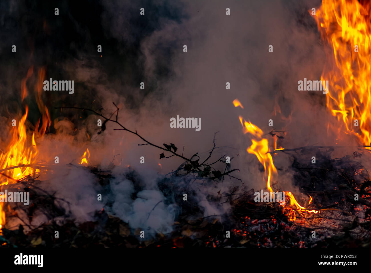 Forest wildfire at night whole area covered by flame and clouds of dark