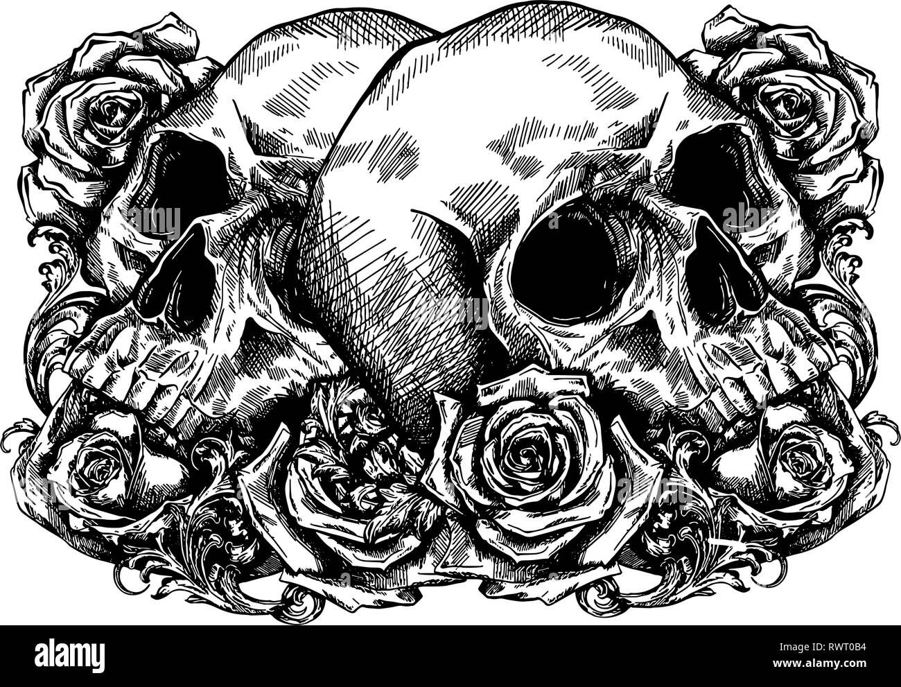 skulls wrapped in roses, flowers and leaves Stock Vector