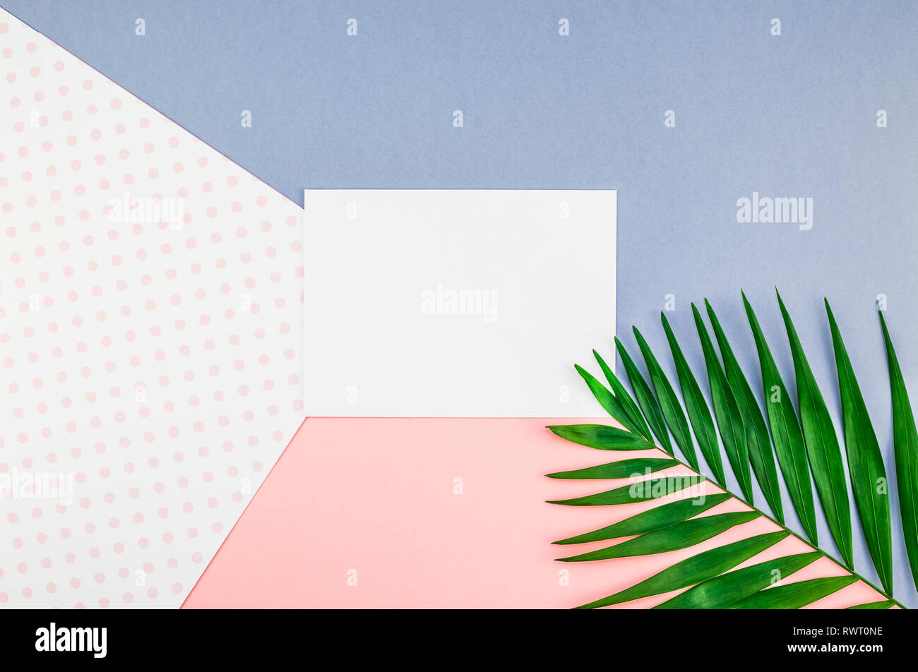 Creative flat lay top view mock up green tropical palm leaves coconuts ...