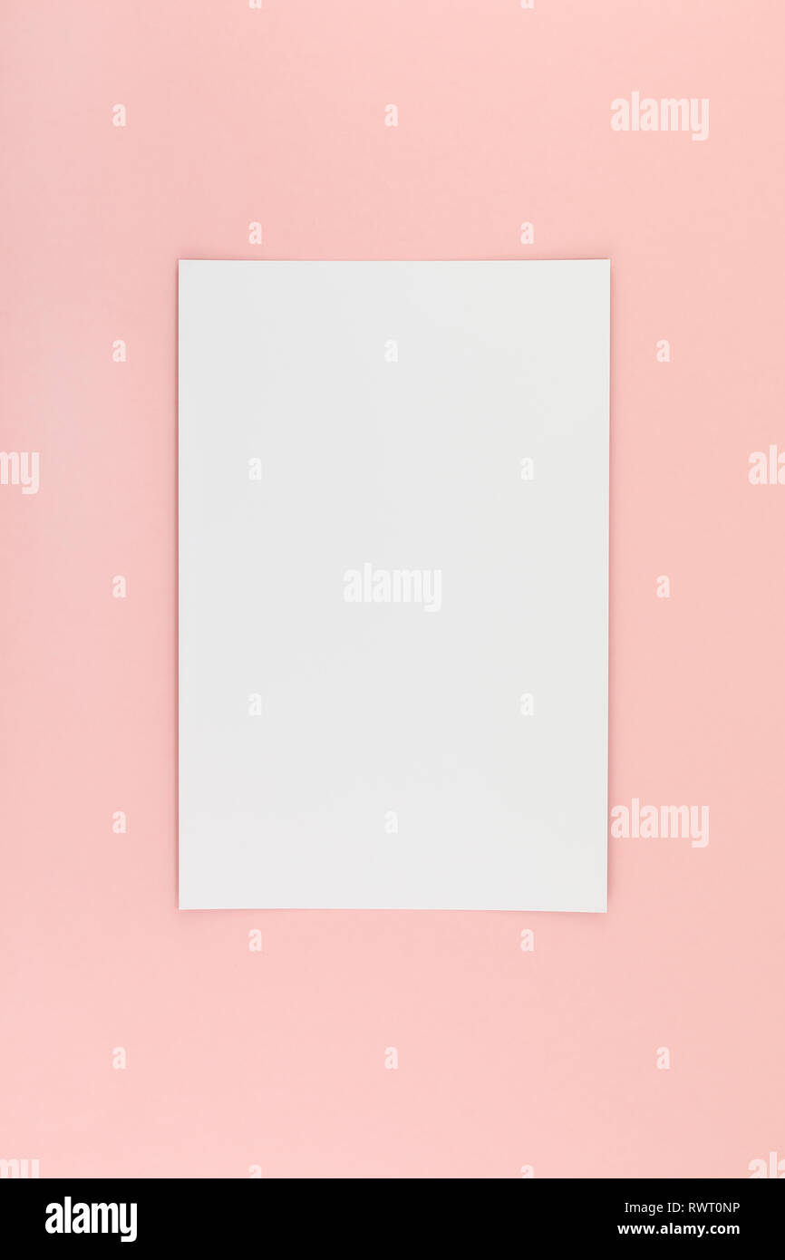 Creative flat lay top view of empty A4 paper page mock up on pastel ...