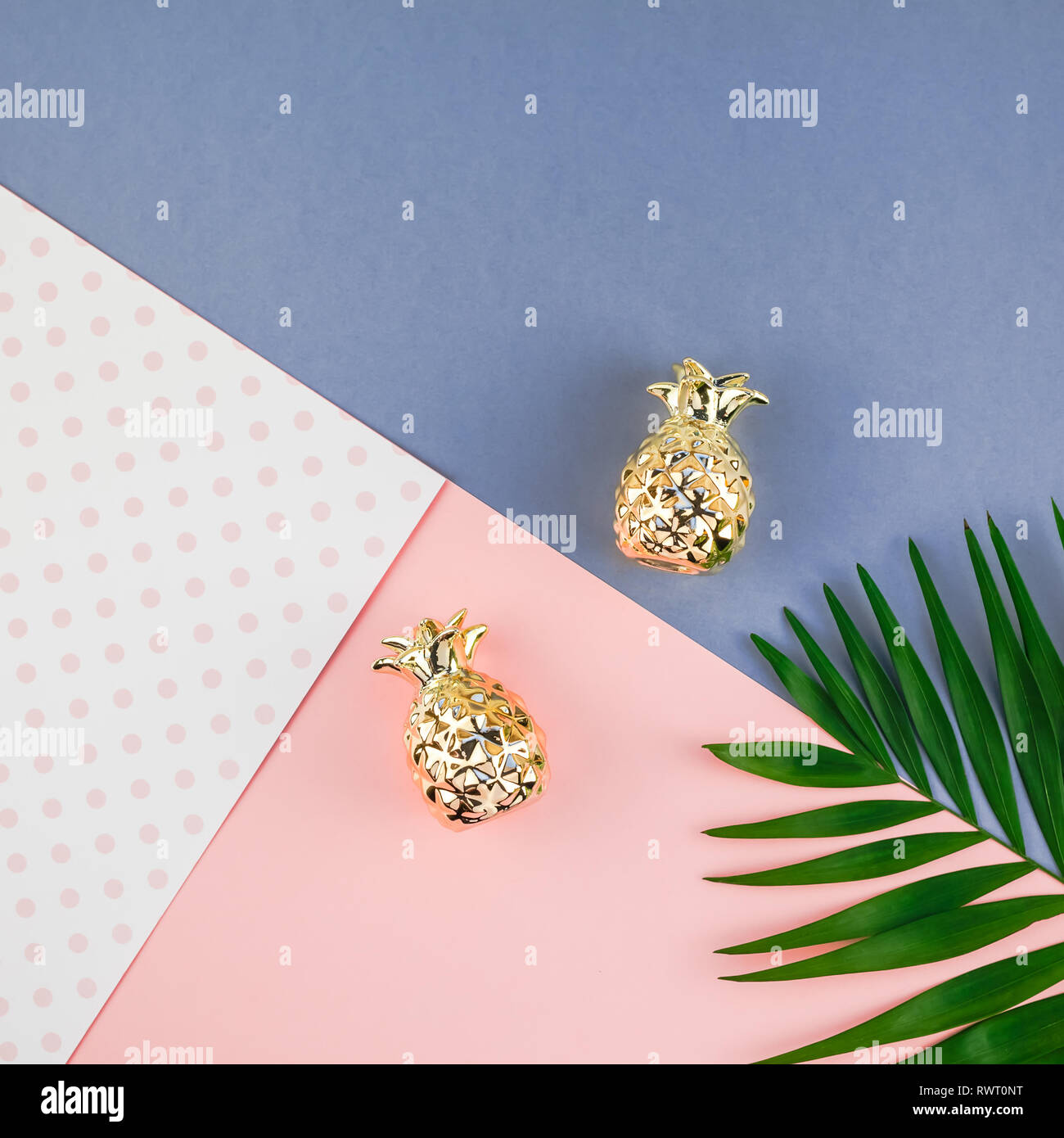 Creative flat lay top view of green tropical palm leaves on color paper ...