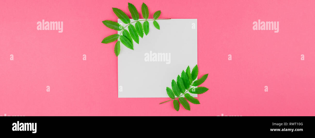 Creative flat lay top view white letter mock up with fresh green rowan ...