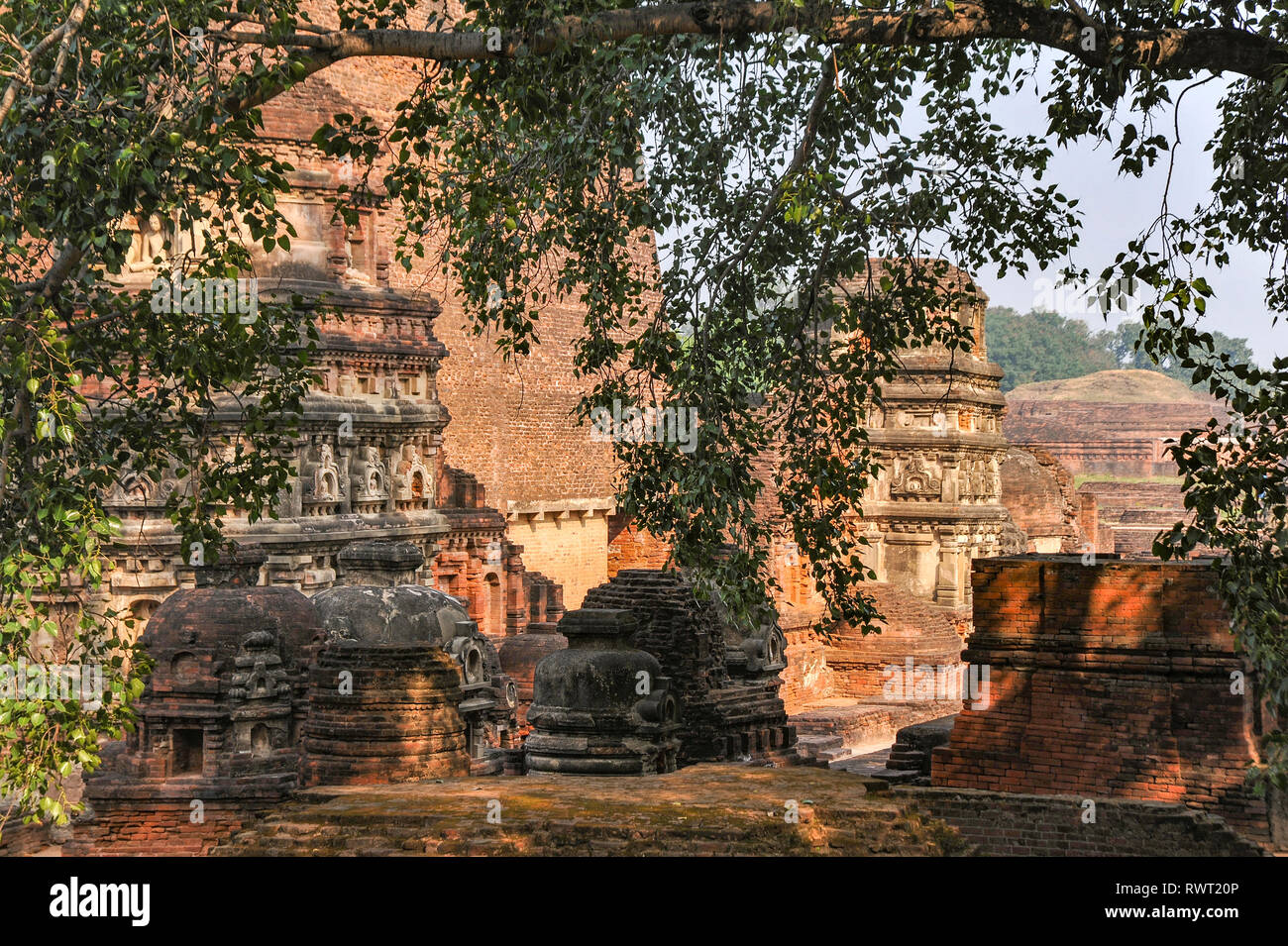 INDIA, NALANDA, Ruins of the ancient Buddhist monastery Mahavihara , which was also a leading teaching institution under the Gupta Empire Stock Photo