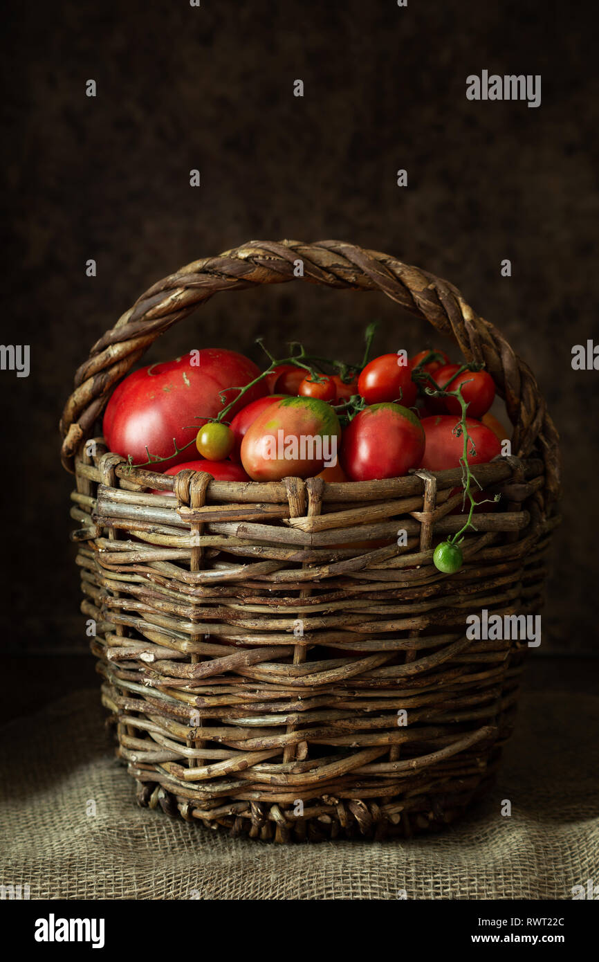 Large wicker basket with a variety of ripe organic tomatoes Stock Photo ...