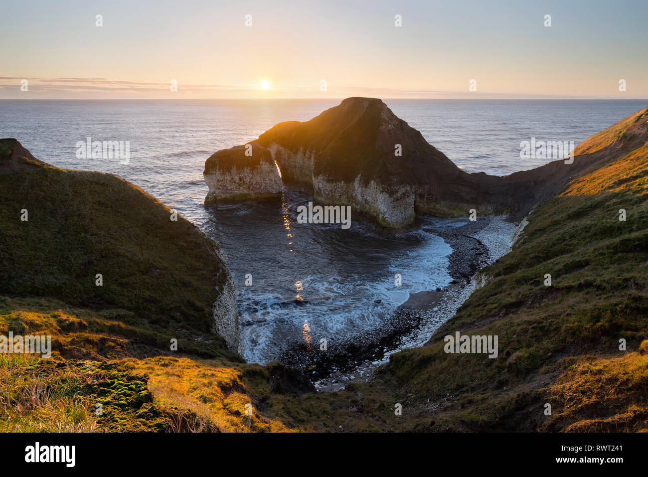 Dinosaur in the Flamborough Head, Yorkshire Stock Photo