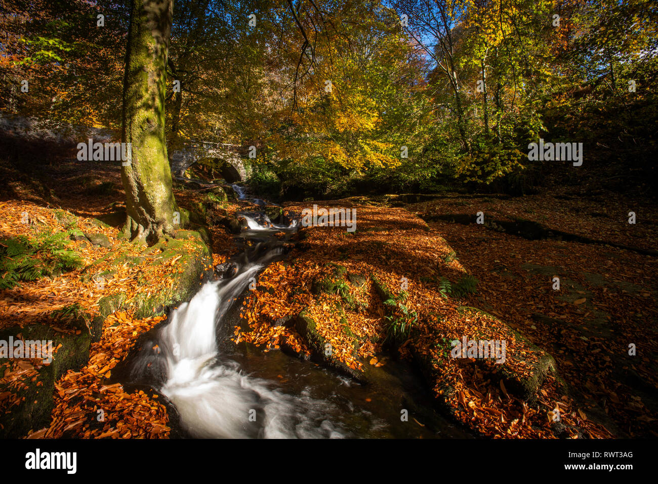 The Shankhill river runs through Cloghleagh Glen, Co. Wicklow, Ireland Stock Photo