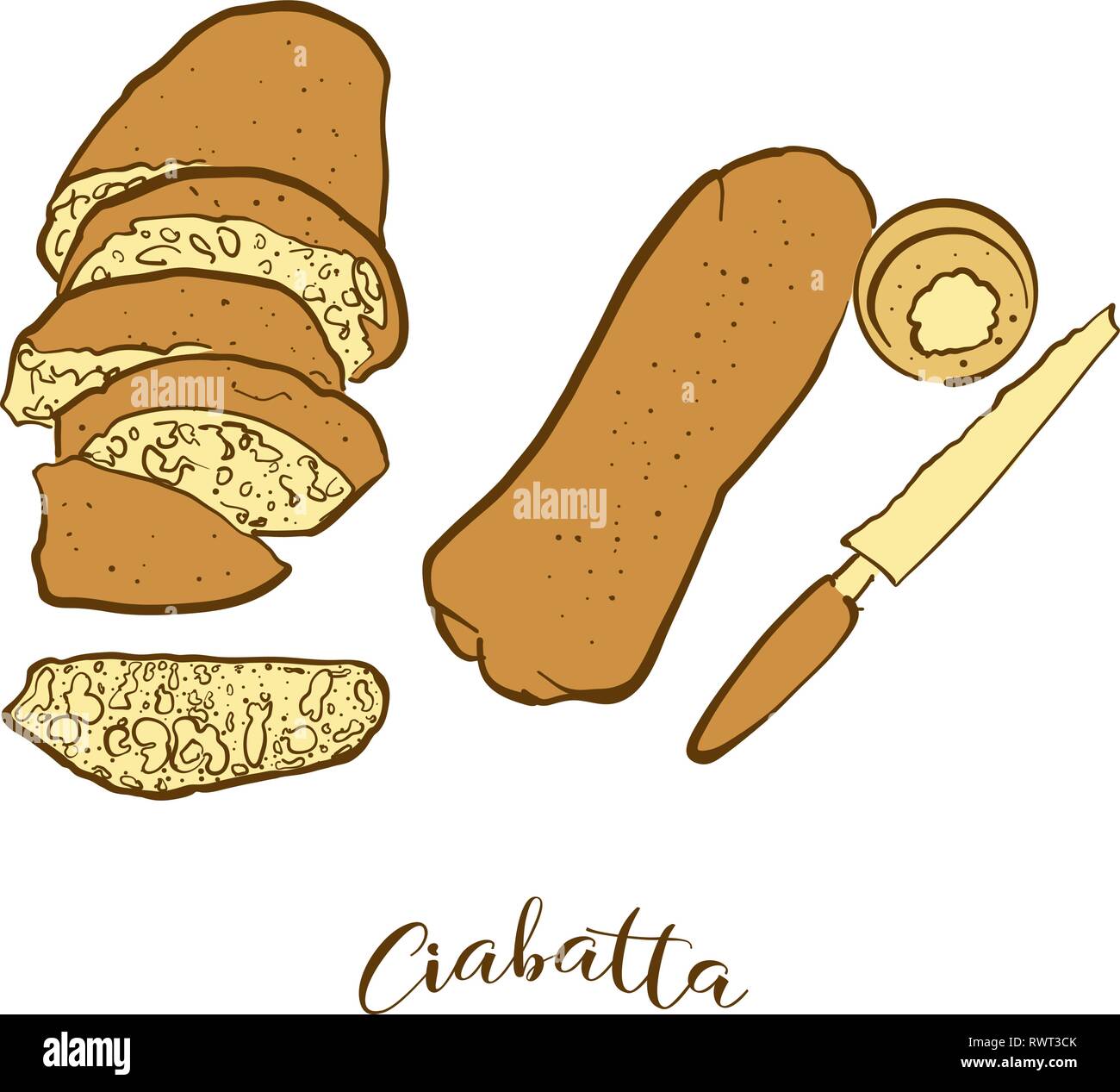 Colored sketches of Ciabatta bread. Vector drawing of White food, usually known in Italy. Colored Bread illustration series. Stock Vector