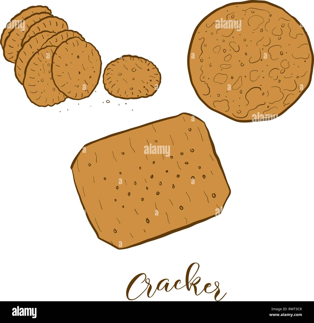 Colored sketches of Cracker bread. Vector drawing of Crispy bread food, usually known in International. Colored Bread illustration series. Stock Vector