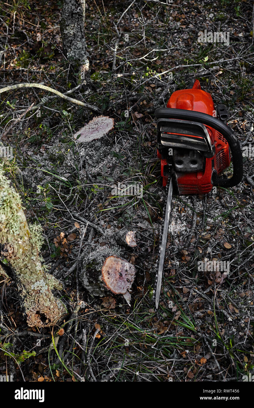 Electrical chainsaw in the forest Stock Photo - Alamy