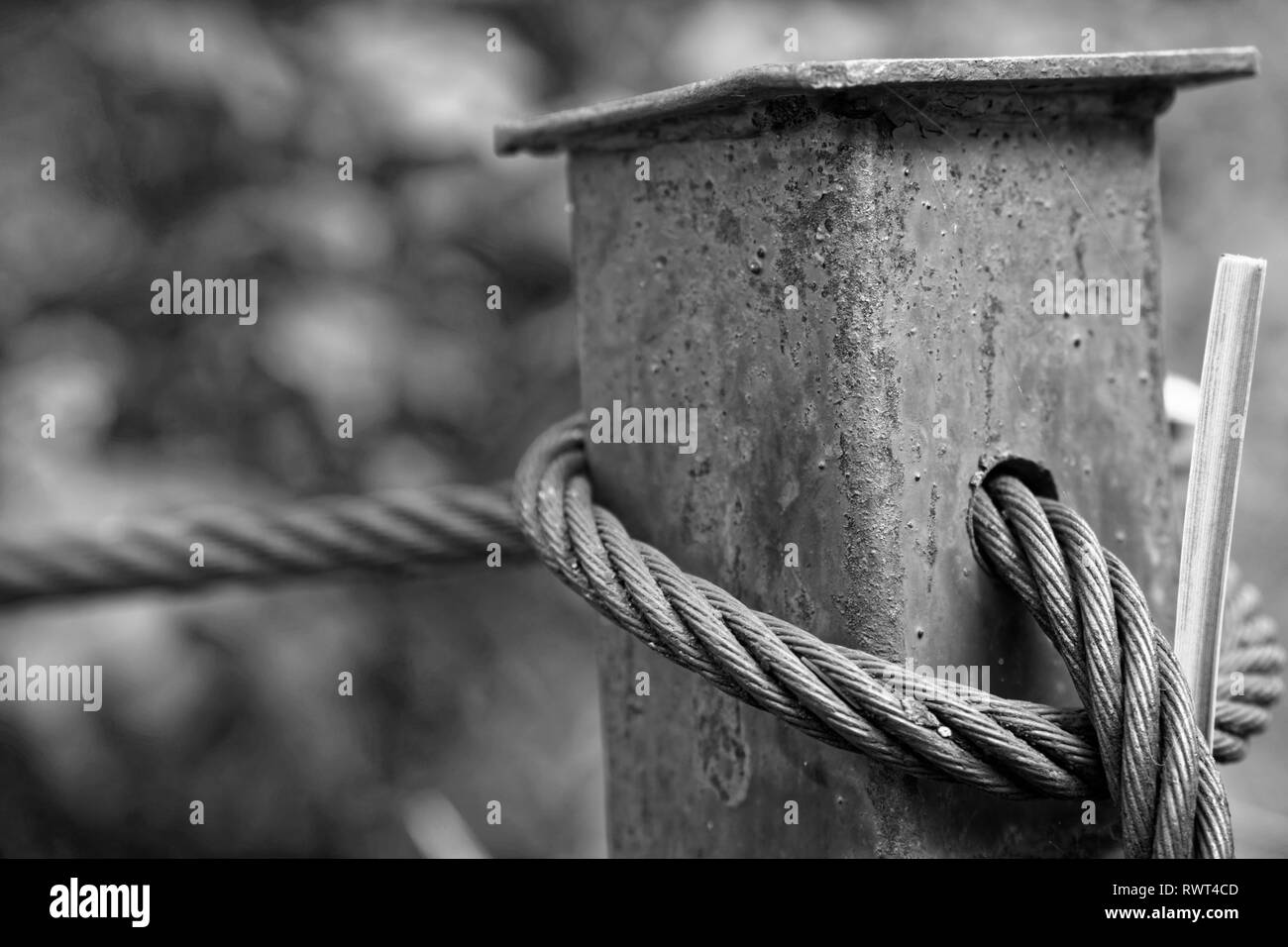 Thick steel rope close up. Bridge fence element. Detailed view. The