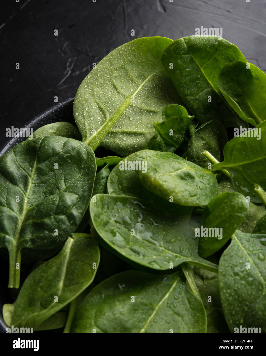 Baby spinach leaves with water drops in a ceramicn plate on a black
