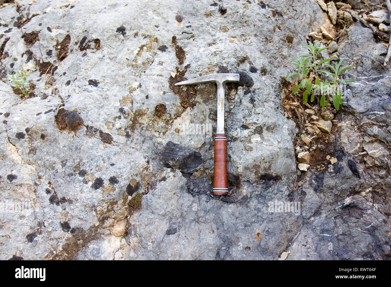 Geological hammer on the rock Stock Photo Alamy