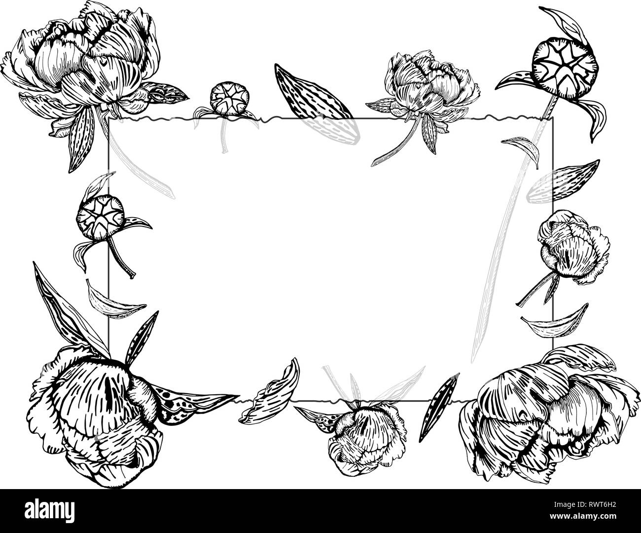 Vector illustration of transparent glass frame with peony flowers, buds and leaves.  Paeony, isolated on white background. Greeting card with beautifu Stock Vector