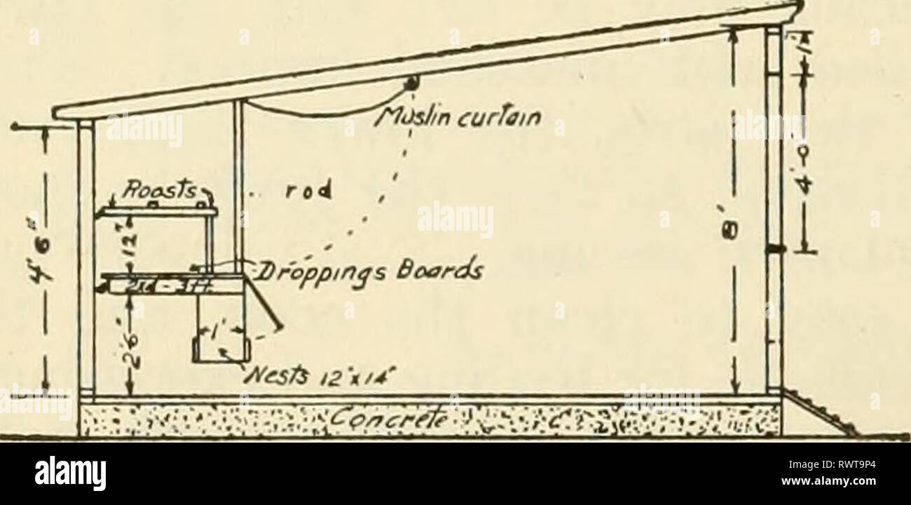 Elements Of Farm Practice 1919 Elements Of Farm Practice