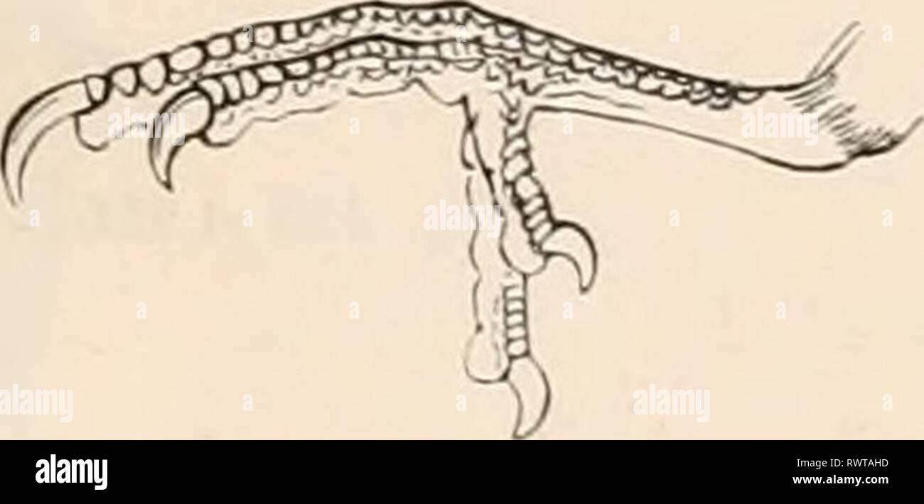 G F Ku High Resolution Stock Photography And Images Alamy