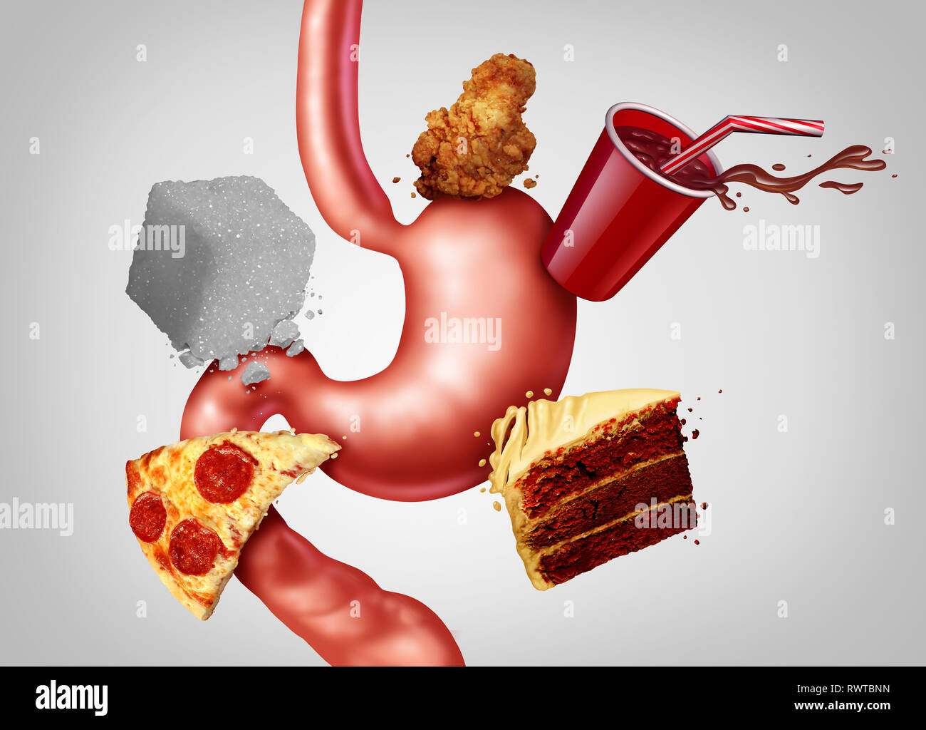 Food Digestive System Illustration Stock Photos & Food Digestive System