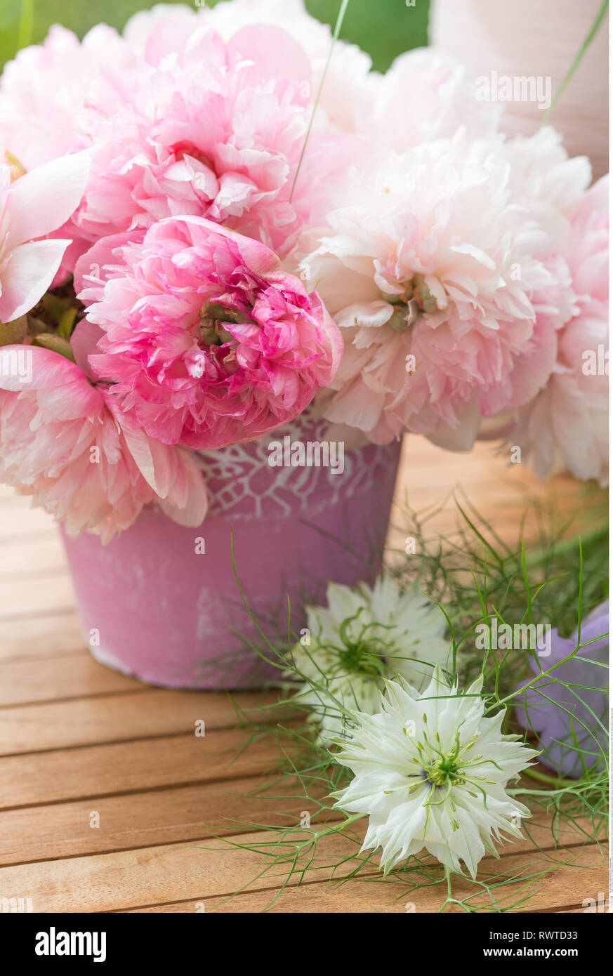 botany, deco with peony blossoms, Caution! For Greetingcard-Use / Postcard-Use In German Speaking Countries Certain Restrictions May Apply Stock Photo