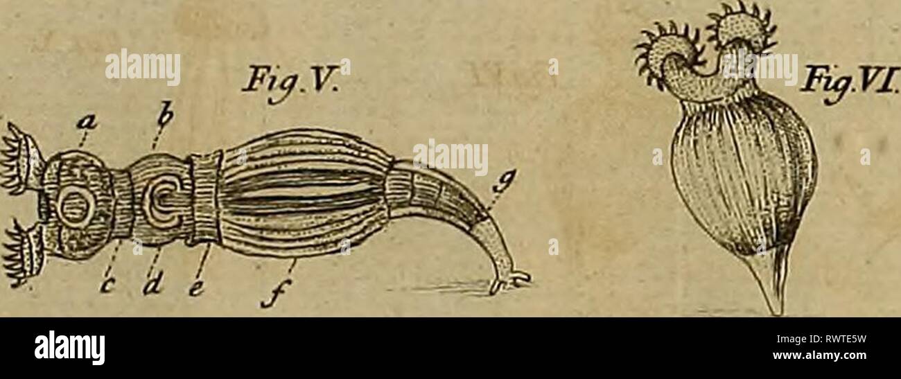 Employment for the microscope Stock Photo Alamy