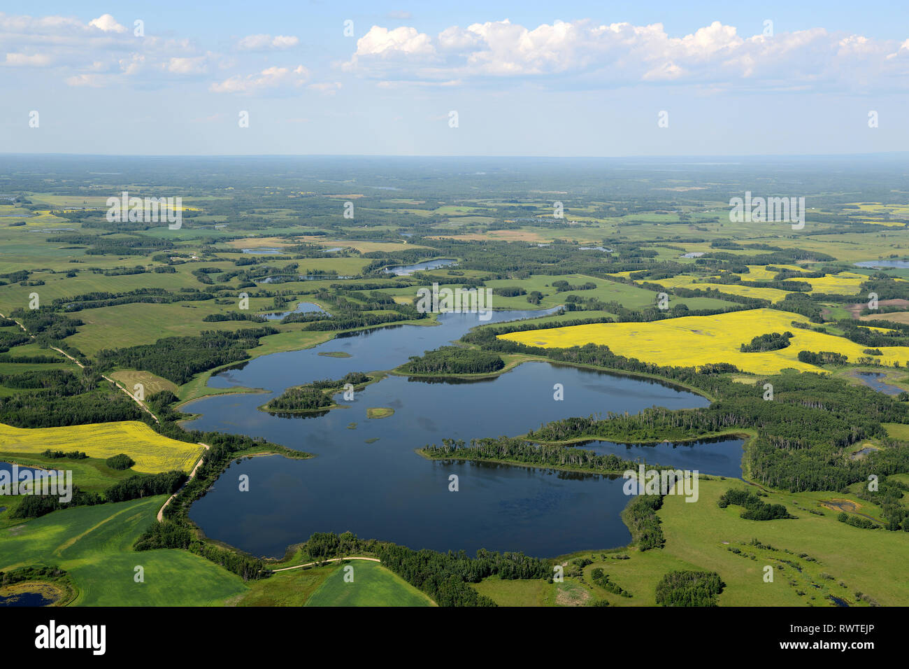 aerial, Duck Lake, canola, Rossburn, Manitoba Stock Photo Alamy