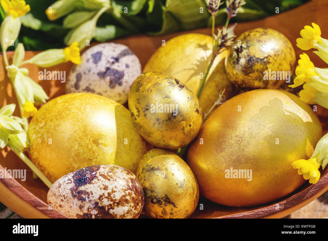 Easter egg on garden grass background, happy easter day concept Stock Photo