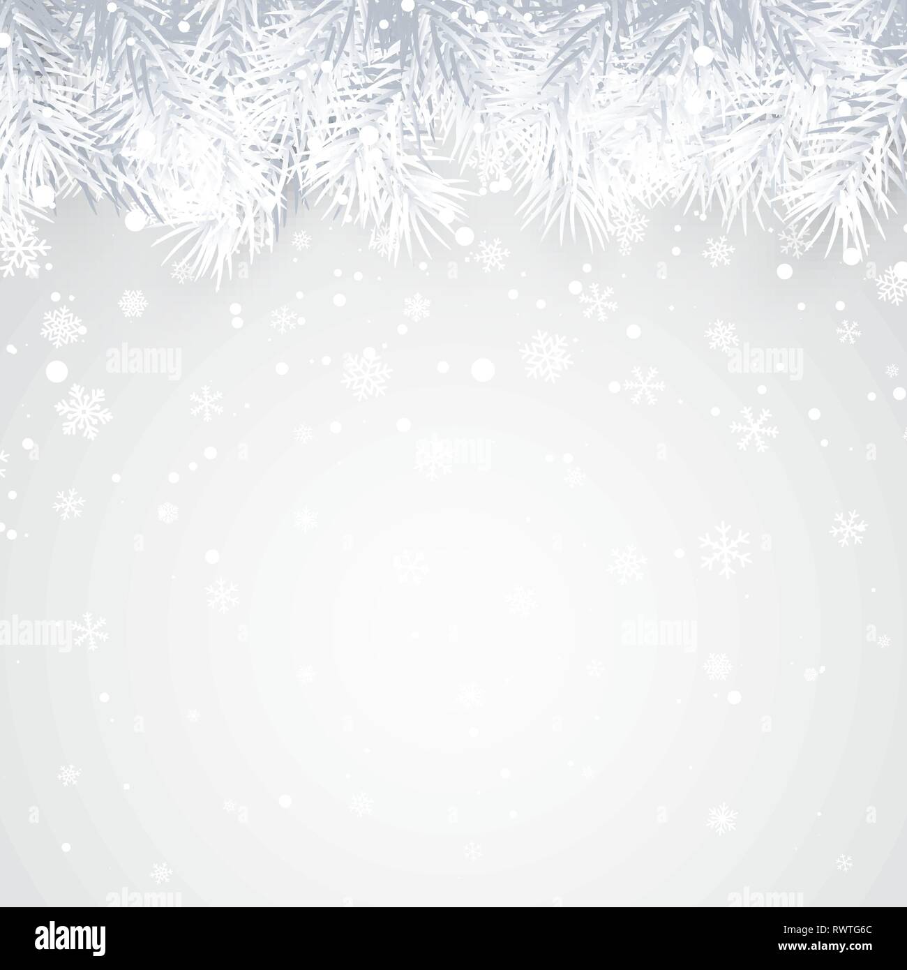 Christmas and New Year background with fir branch and snow for xmas ...