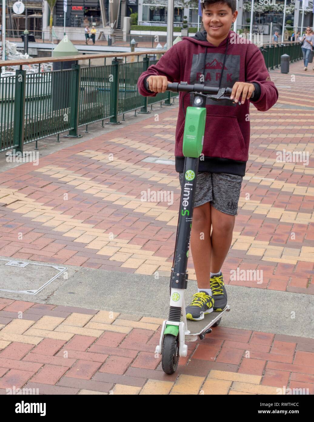 Tue 1st Jan 2019, Auckland New Zealand A young teenage boy enjoys