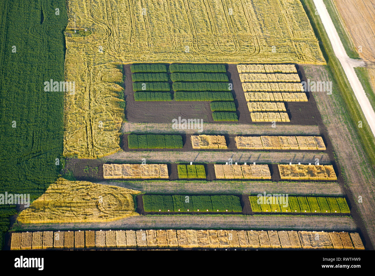 aerial, test plots, Kelburn Farm, St Adolphe, Manitoba Stock Photo