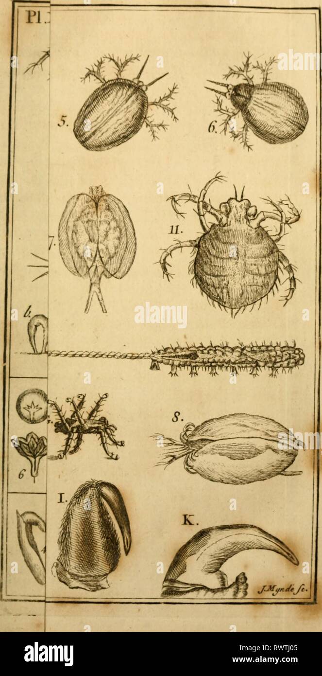 Employment for the microscope Stock Photo Alamy