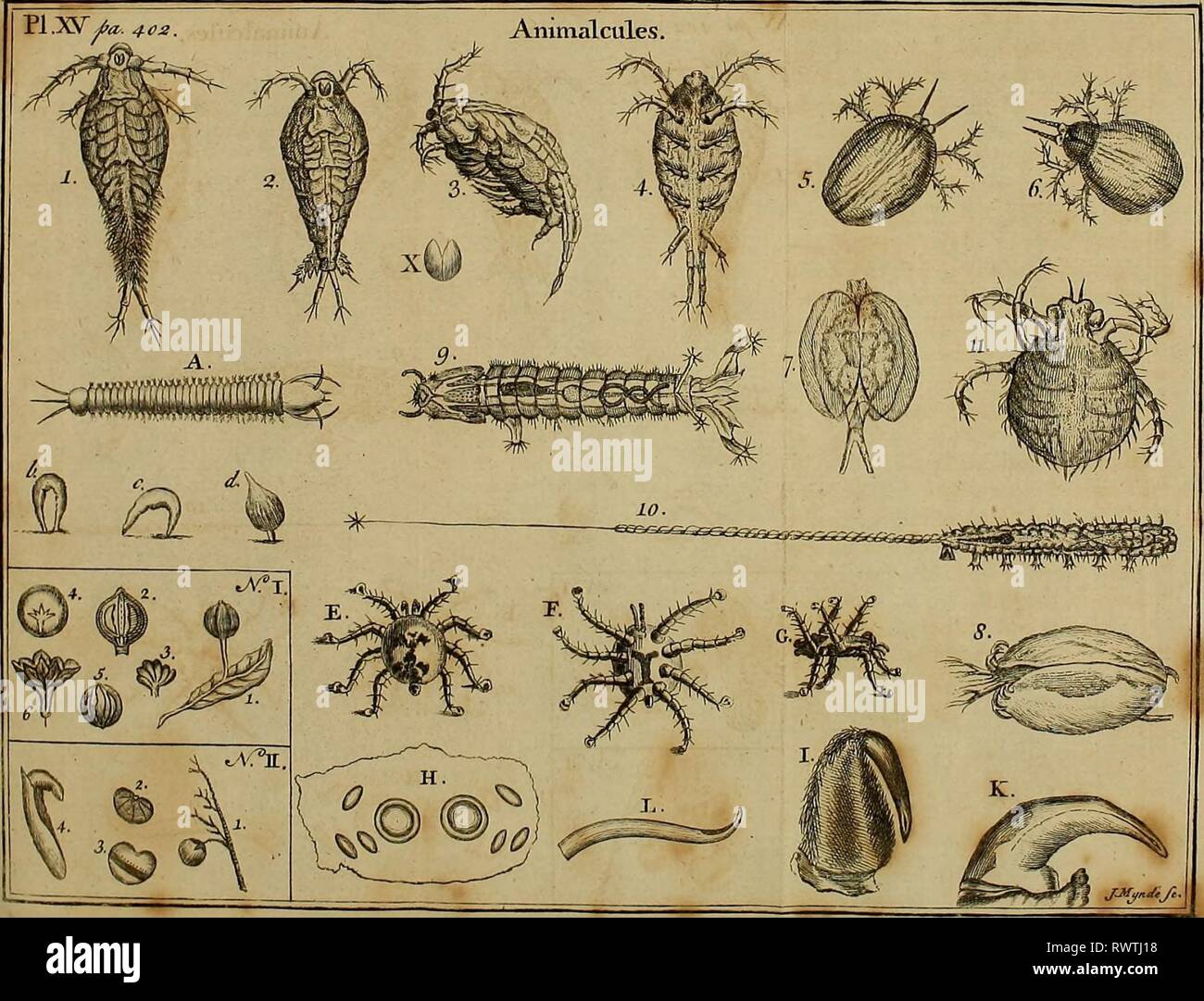 Employment for the microscope Stock Photo Alamy