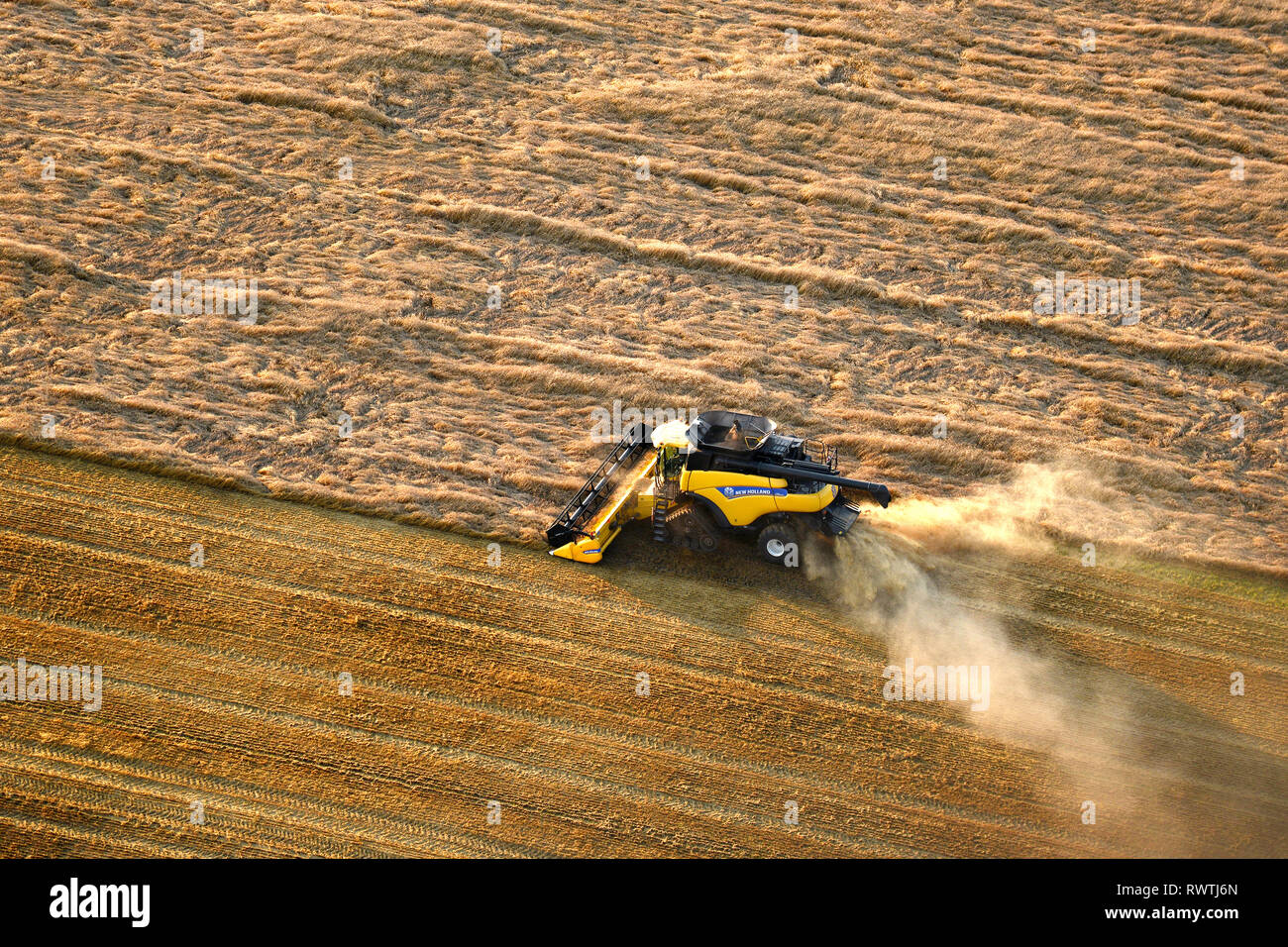 aerial, New Holland combine, Kelburn Farm, St Adolphe, Manitoba Stock Photo
