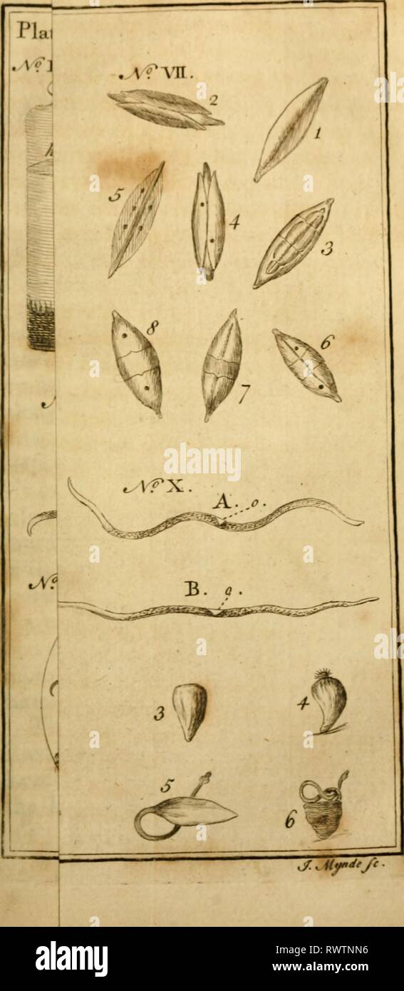 Employment for the microscope Stock Photo Alamy