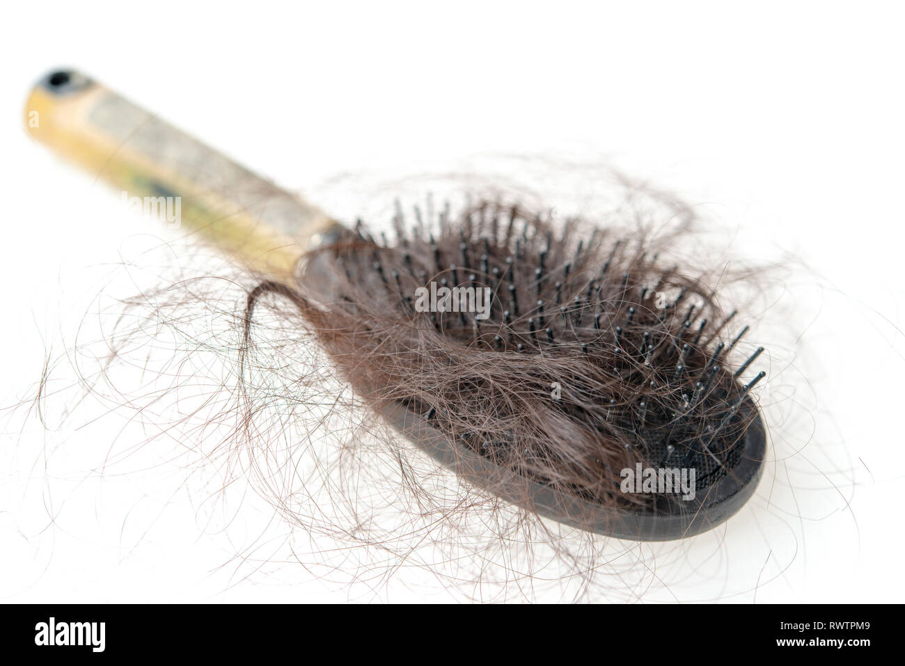 Used dirty hairbrush with lost hair on it, isolated on white background Stock Photo Alamy