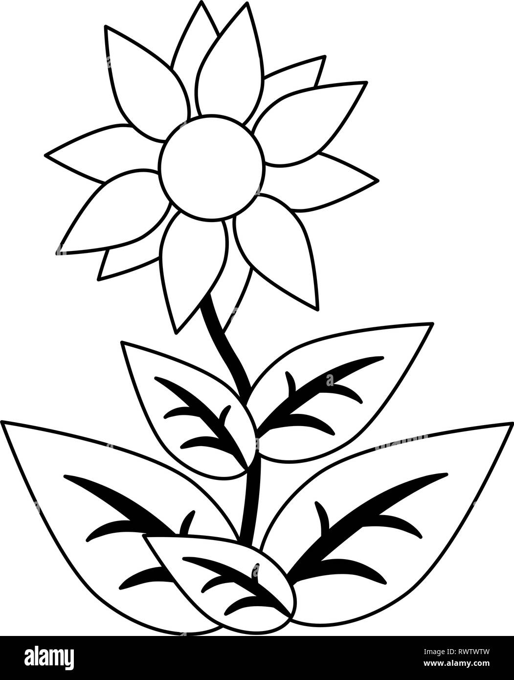 sunflower with leaves isolated in black and white Stock Vector