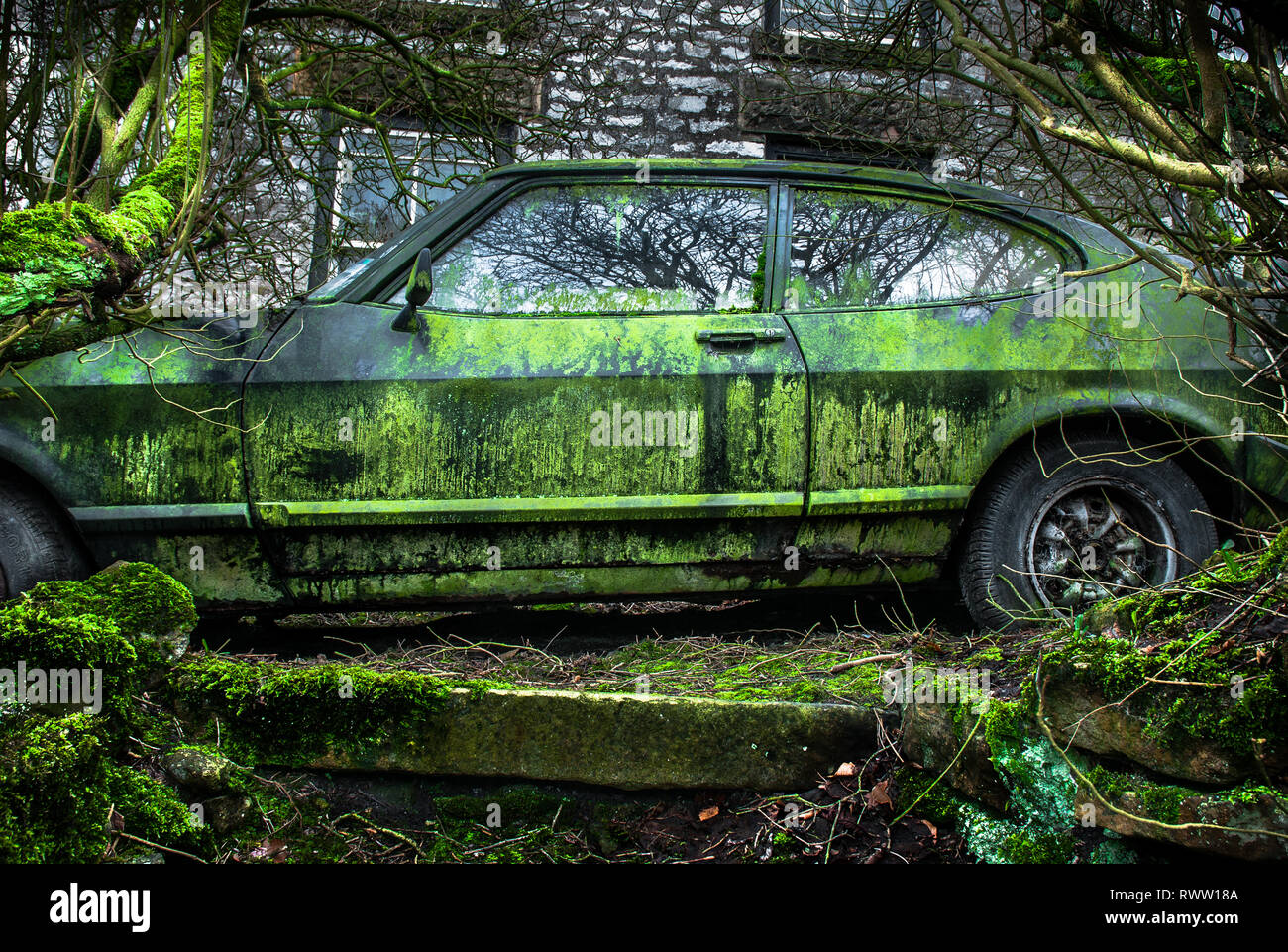 An abandoned Ford Capri with green moss and algae growth. Stock Photo