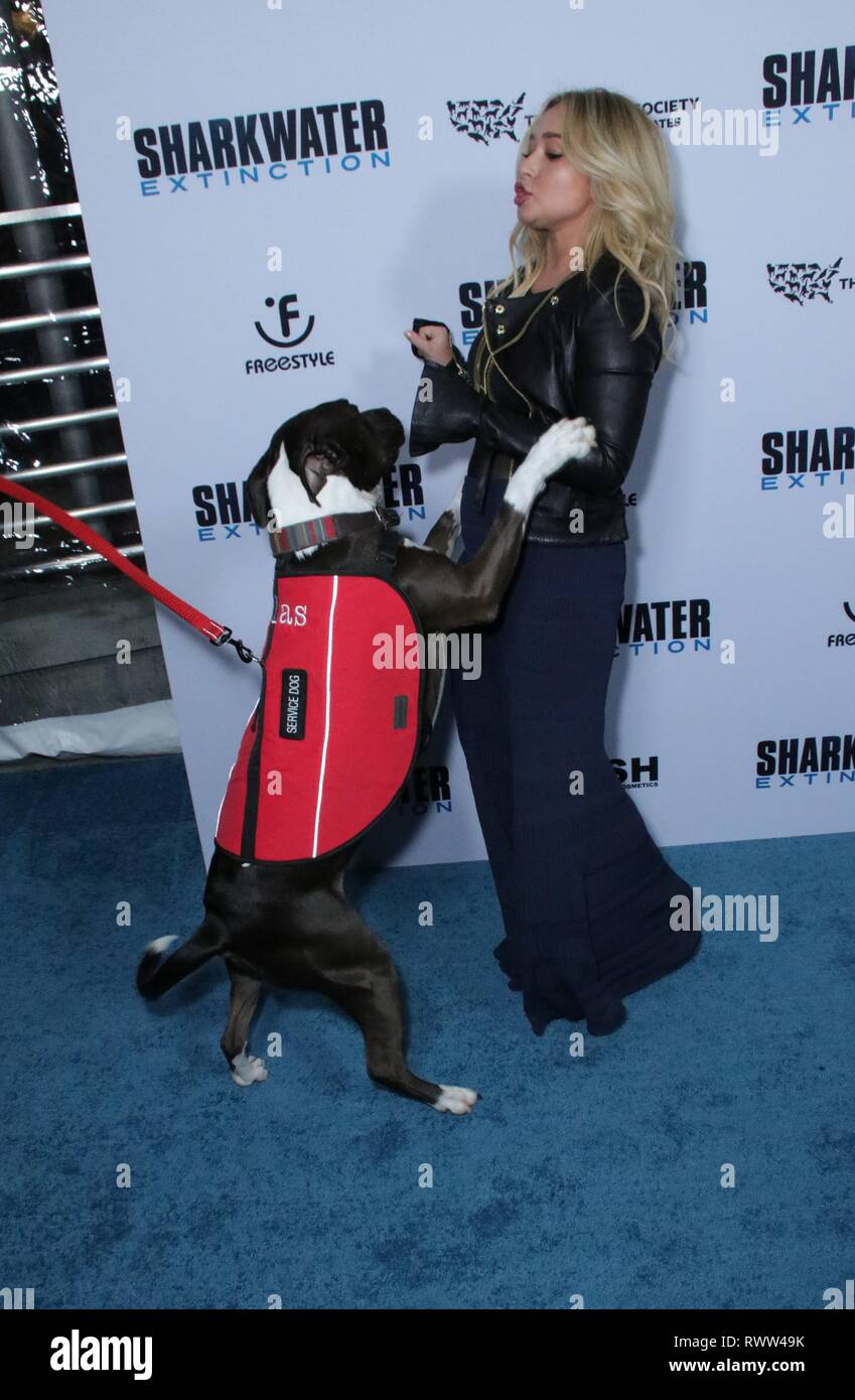 Hayden Panettiere at the 'Sharkwater Extinction' premiere in Los