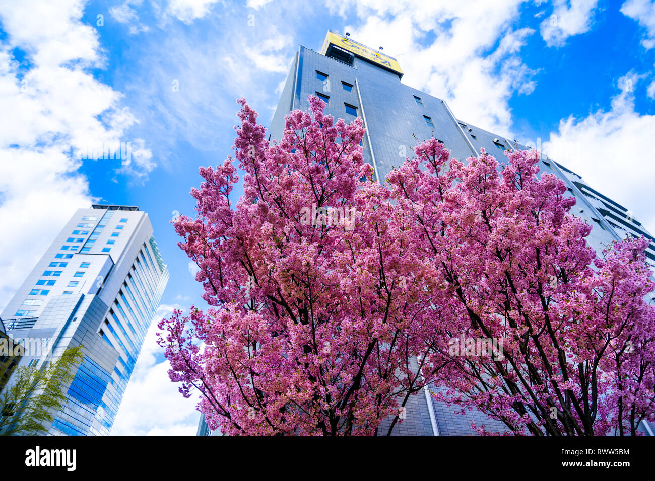 Tokyo street & architecture Stock Photo