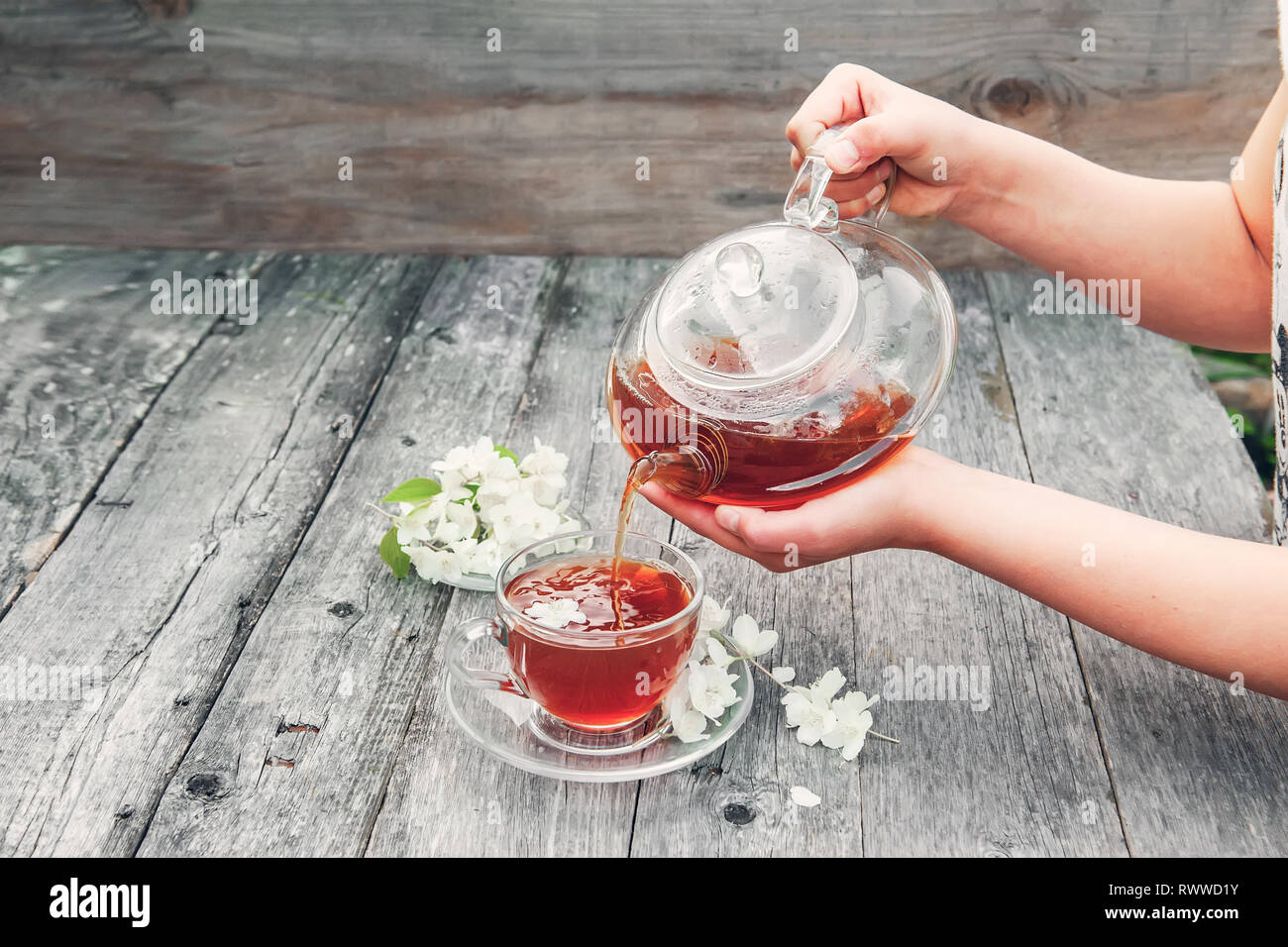 The girl pours hot herbal jasmine tea in a transparent glass cup on a wooden table. Stock Photo