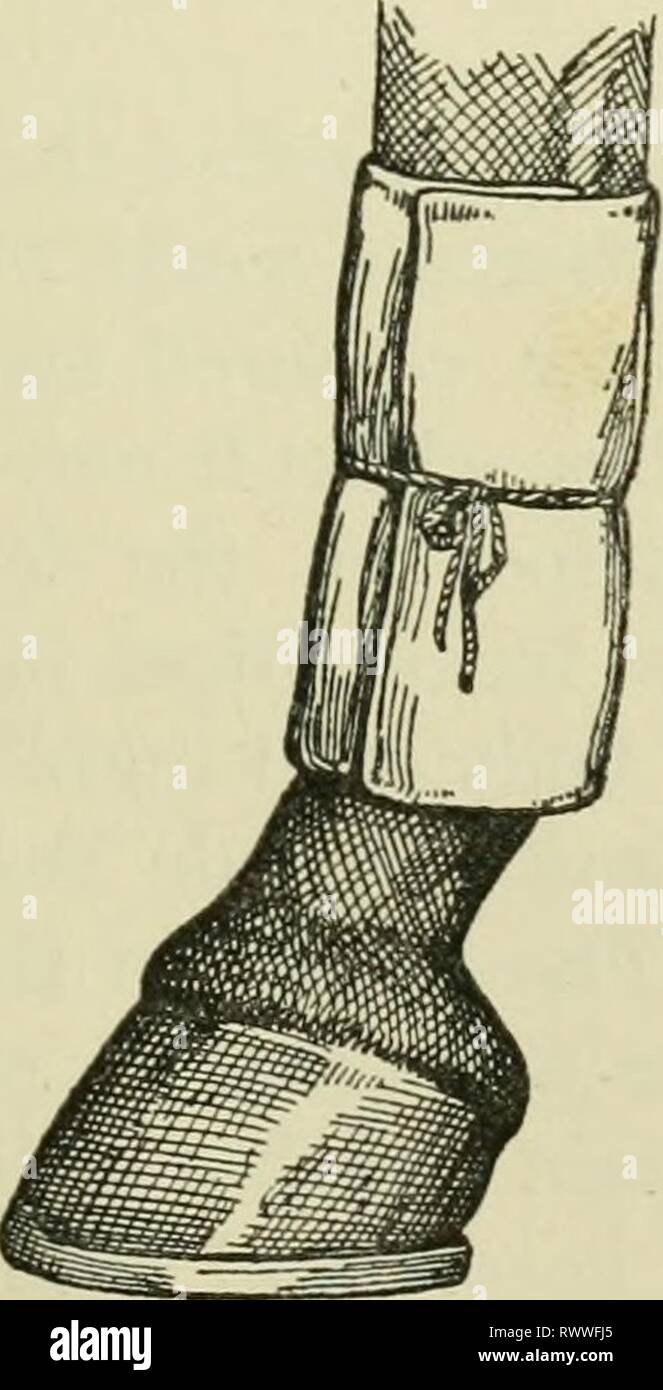 Jaundice management hires stock photography and images Alamy