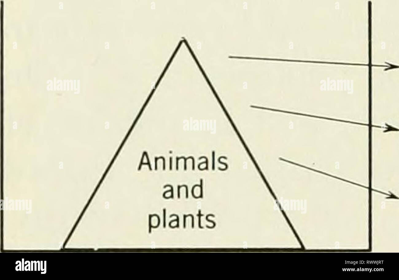 Fundamental Ecology High Resolution Stock Photography and Images - Alamy