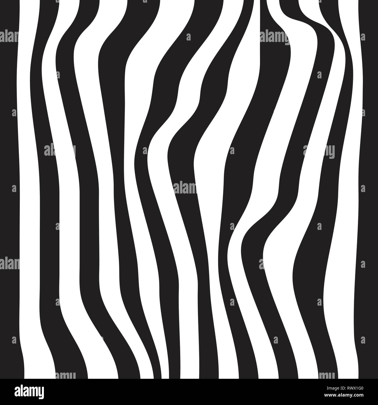 Striped abstract background. black and white zebra print. Vector ...