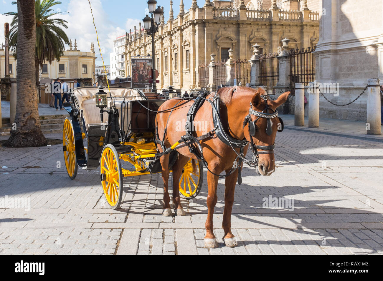 Horsedrawn carriage outside Seville Cathedral Stock Photo Alamy