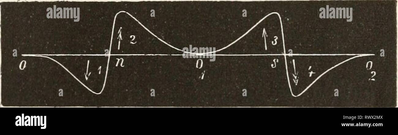 Elektrophysiologie (1895) Elektrophysiologie elektrophysiolog00bied Year: 1895  Fig. 176. (Nach Grützner.J 175. vertikale Axe vor der primären, von einem constanten Strom durch- flossenen Rolle rotiren, wobei ganz gleichartige Inductionsströme ent- stehen müssen, da bei senkrechter Stellung der Gewinde die inducirende Wirkung gleich Null ist, während zwischendurch bestimmten Stellungen der Spiralen auch bestimmte Inductionsströme entsprechen. Grützner (12) untersuchte hierauf die physiologische Wirkung der Ströme einer Stöhrer'schen Maschine, bei der sich zwei Drahtspulen mit Eisenkernen vor e Stock Photo