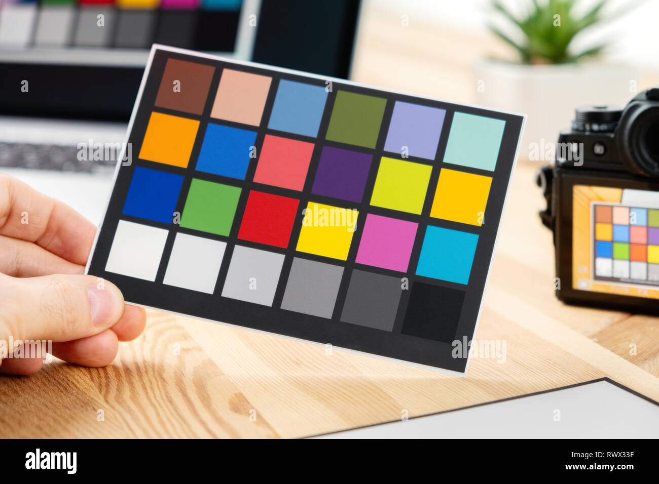 Man holds a paper card with test colors for color management and profiling. Equipment for adjust and balance photograph. Camera and laptop on backgrou Stock Photo